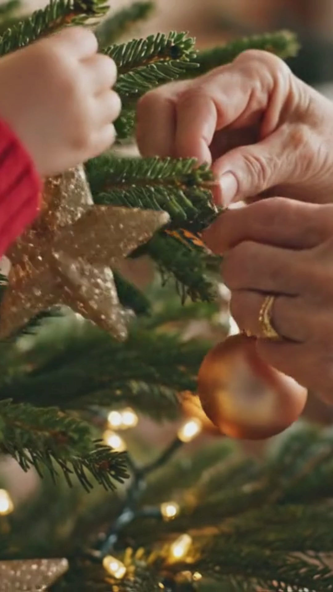 The Duet: Christmas Edition